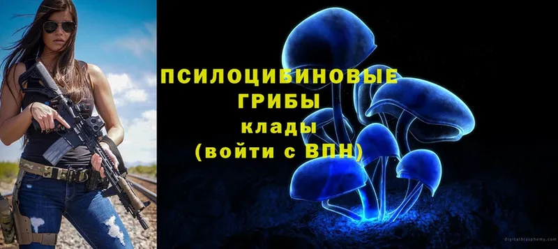 Галлюциногенные грибы MAGIC MUSHROOMS  мега ссылки  Хасавюрт 